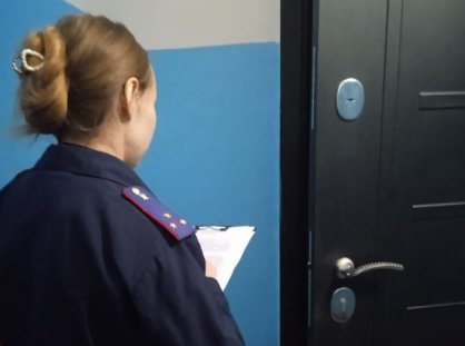 Завершено расследование уголовного дела в отношении жительницы Уварово, обвиняемой в убийстве матери